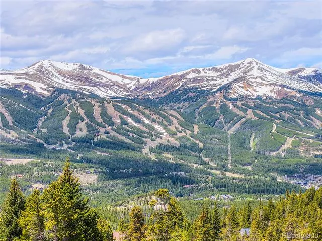 187 Fuller Placer Road #F Breckenridge, CO 80424