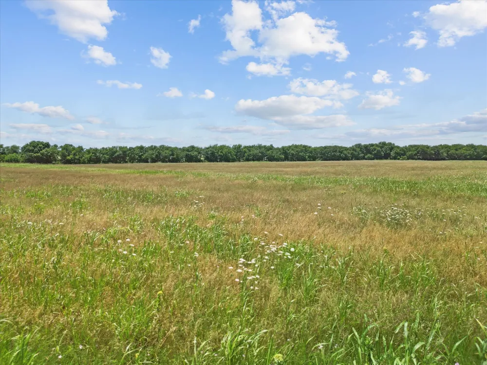 6500 County Road 1050 Celeste, TX 75423