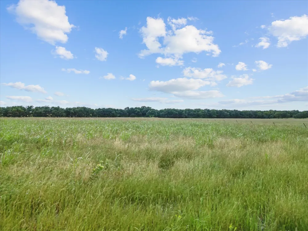 6500 County Road 1050 Celeste, TX 75423