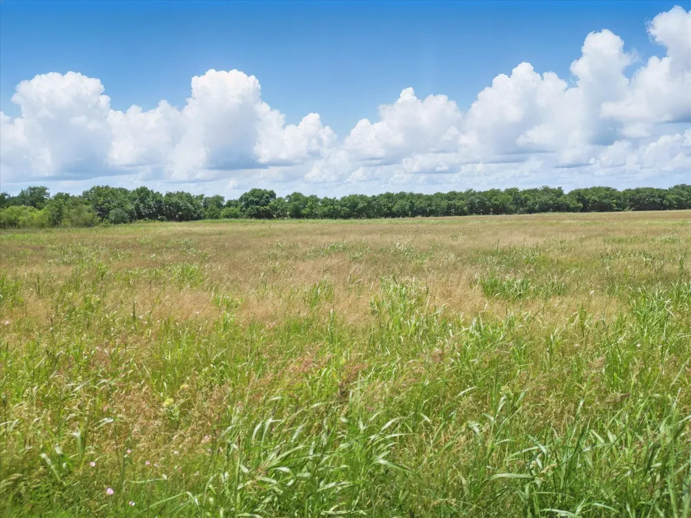 6500 County Road 1050 Celeste, TX 75423