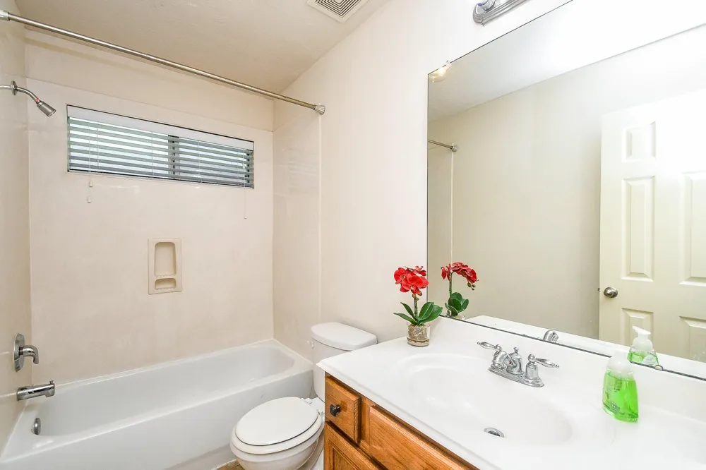6030 Wildbriar Lane Richmond, TX 77469