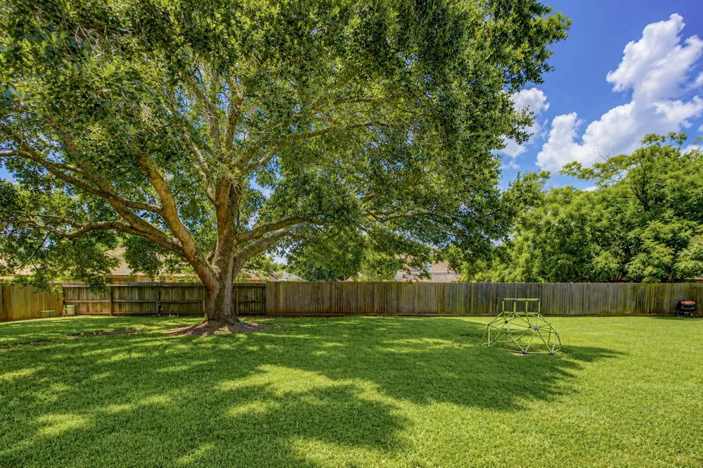 5327 Whitmore Street Fulshear, TX 77441