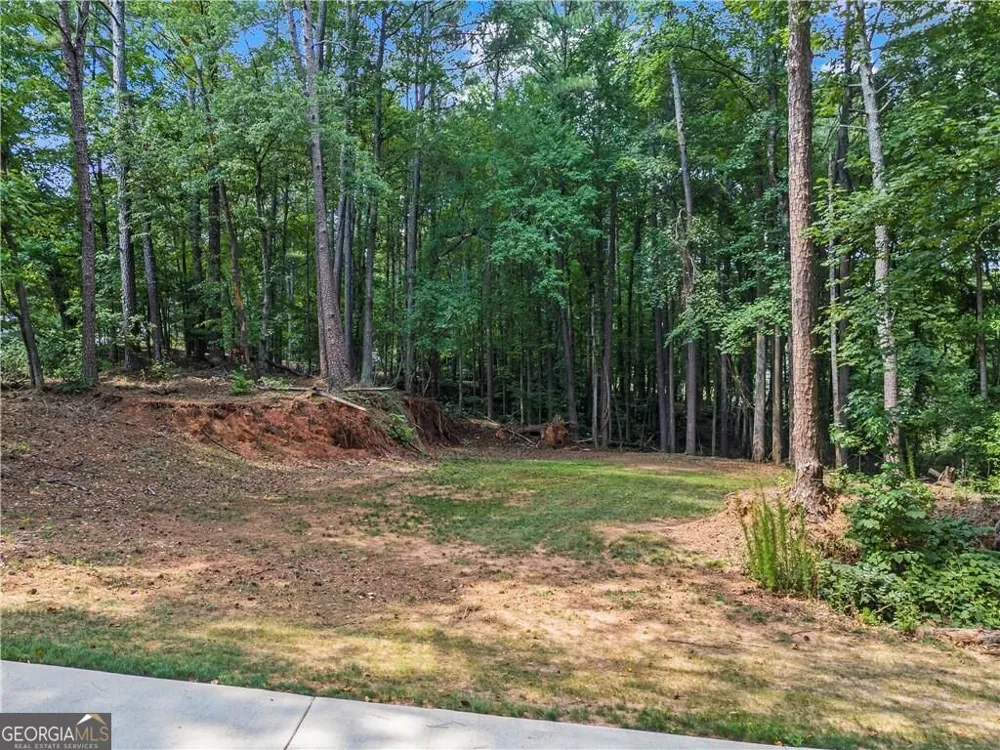 1126 Wedgefield DR Marietta, GA 30064