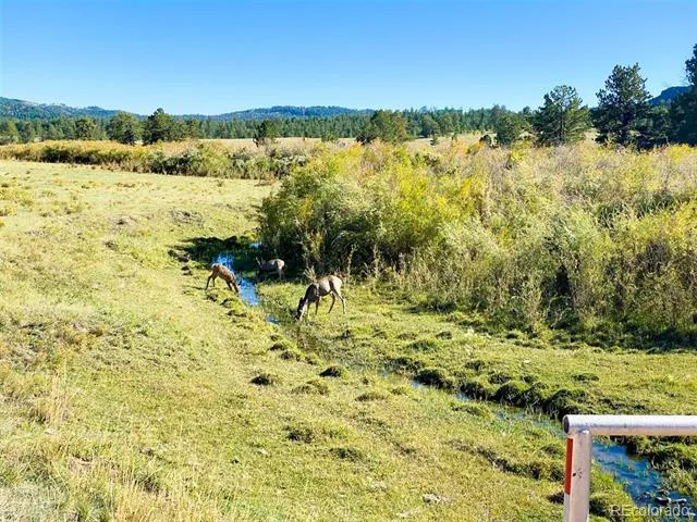 000 Rosebush Road Canon City, CO 81212