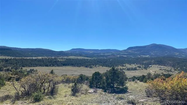 000 Rosebush Road Canon City, CO 81212