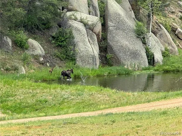 60 County Highway 67 Sedalia, CO 80135