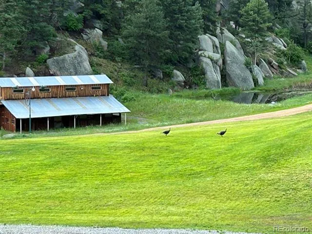 60 County Highway 67 Sedalia, CO 80135