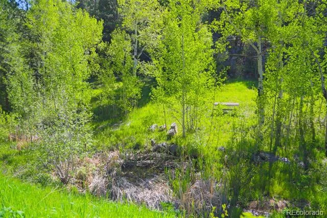 60 County Highway 67 Sedalia, CO 80135