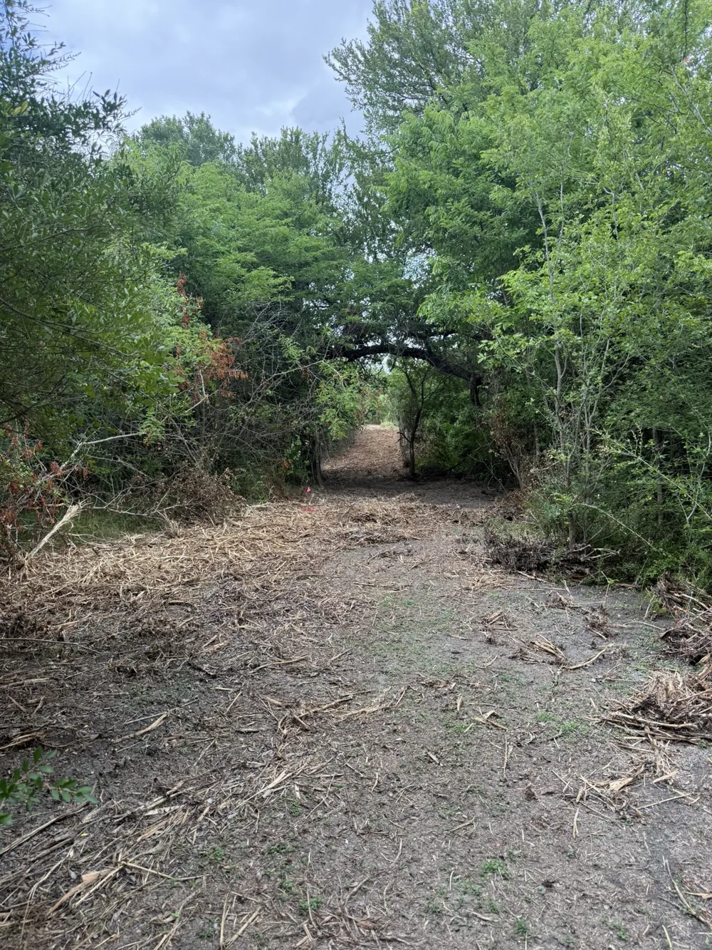McKnight Ferris, TX 75125