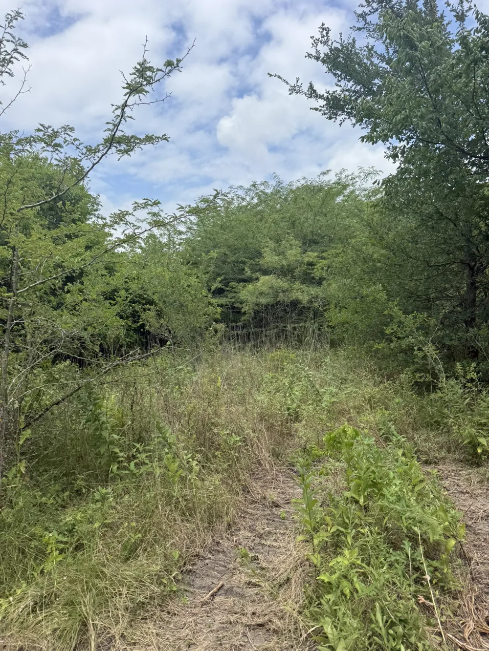 McKnight Ferris, TX 75125