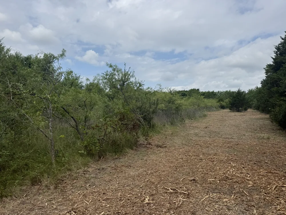 McKnight Ferris, TX 75125