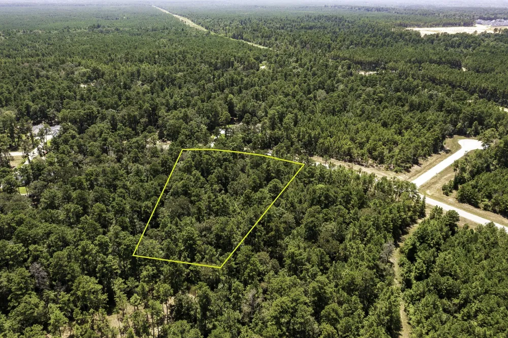 15628 Wood Grove Way Willis, TX 77378