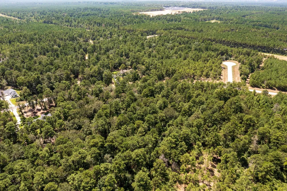 15628 Wood Grove Way Willis, TX 77378