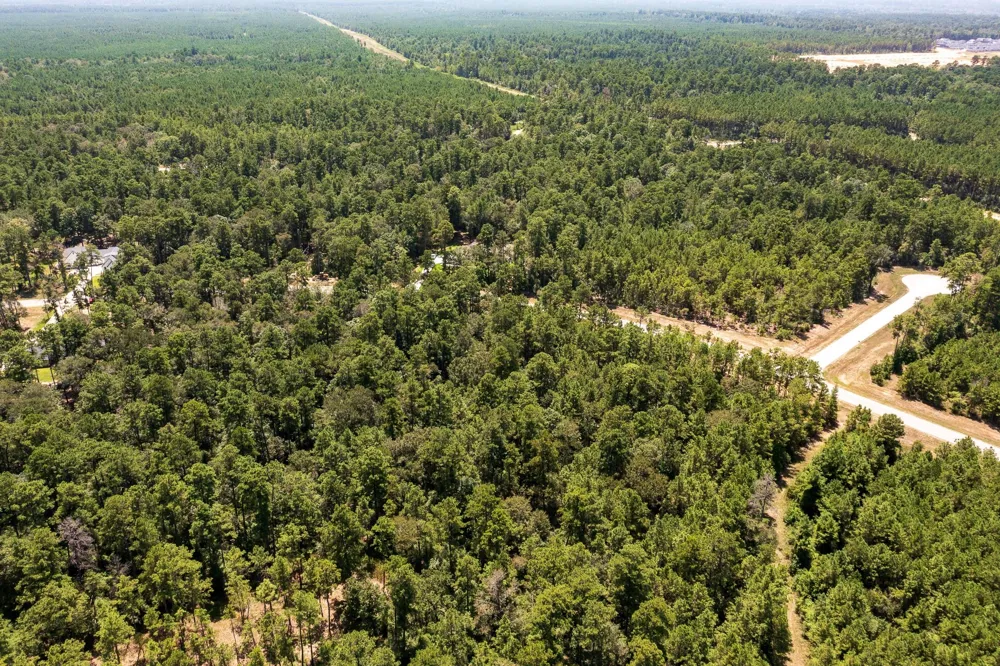 15628 Wood Grove Way Willis, TX 77378