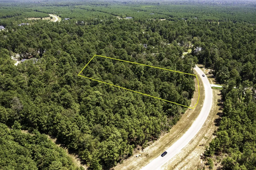 15628 Wood Grove Way Willis, TX 77378