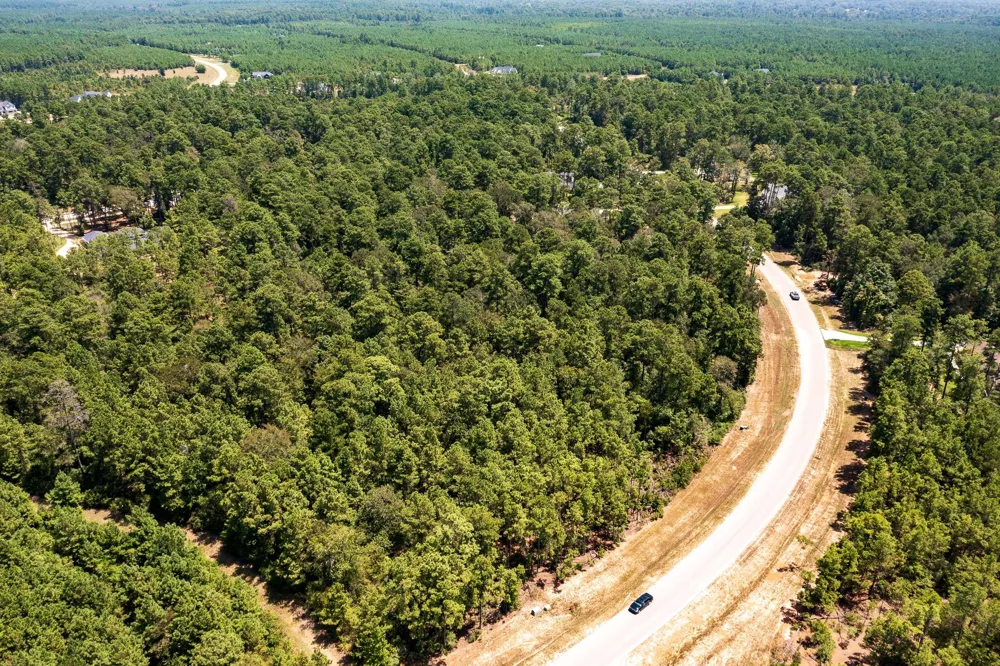 15628 Wood Grove Way Willis, TX 77378