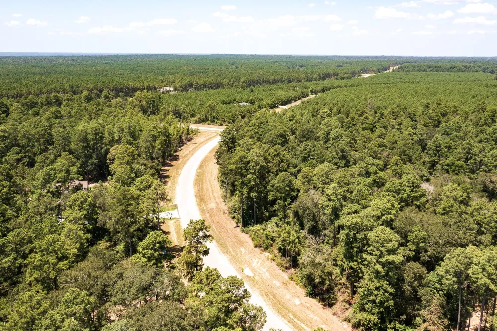 15628 Wood Grove Way Willis, TX 77378