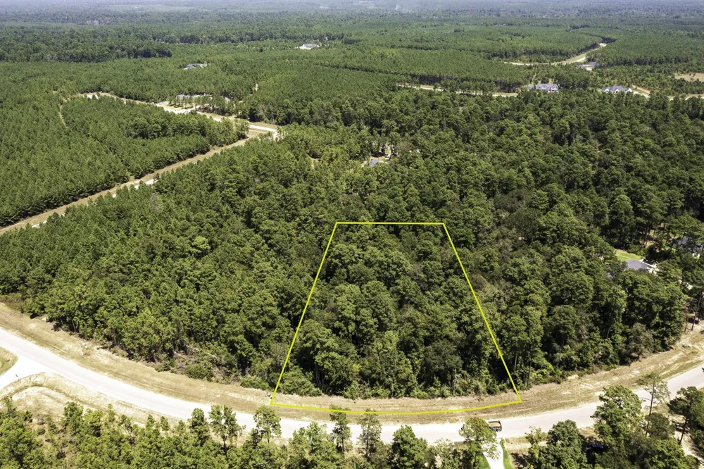 15628 Wood Grove Way Willis, TX 77378