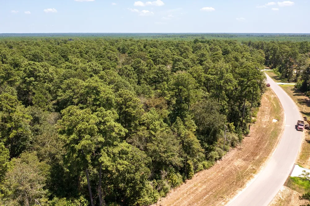 15628 Wood Grove Way Willis, TX 77378
