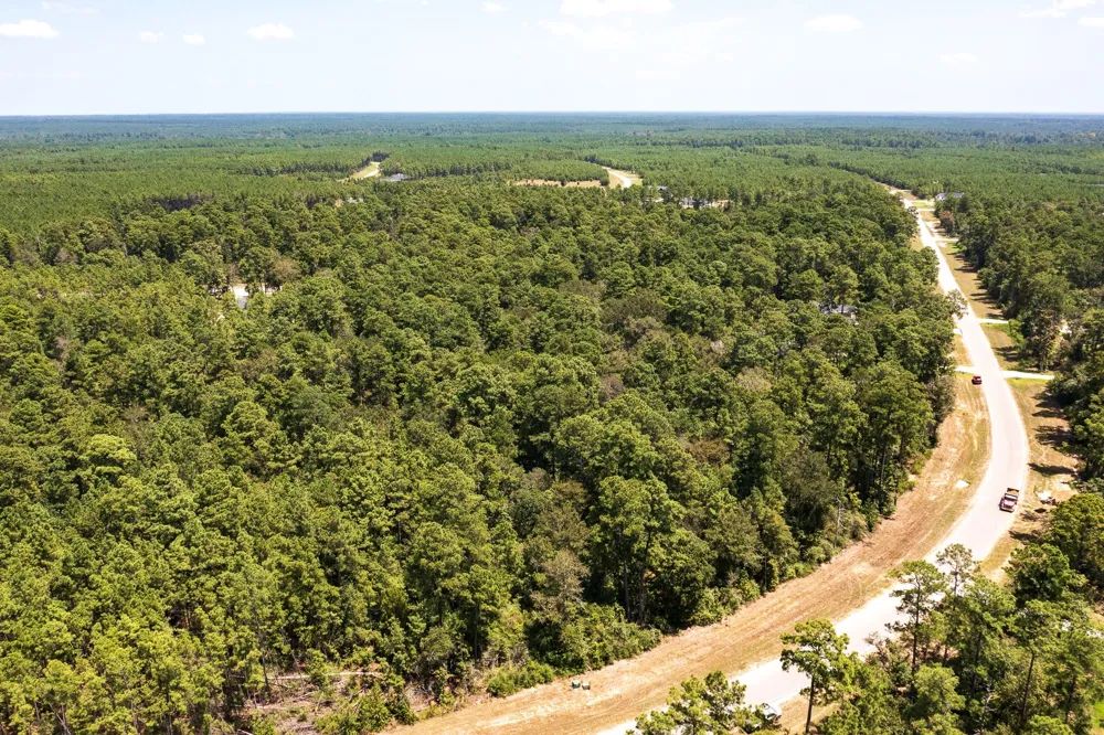 15628 Wood Grove Way Willis, TX 77378