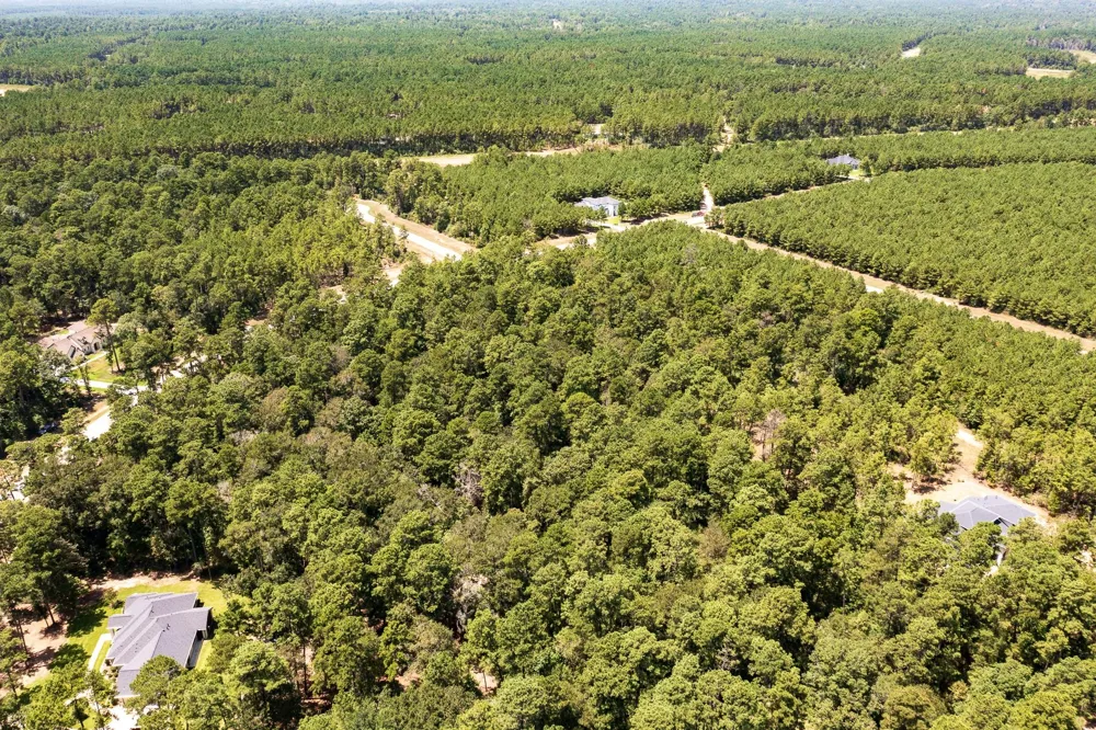 15628 Wood Grove Way Willis, TX 77378