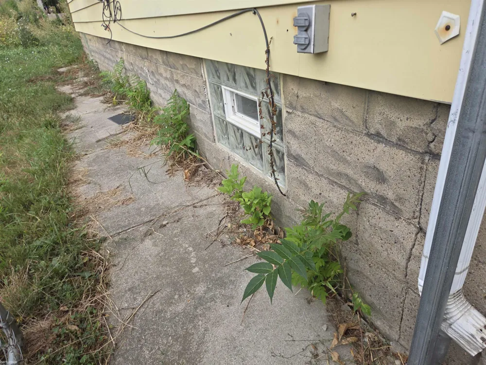 1404 Grant Avenue Lincoln Park City, MI 48146