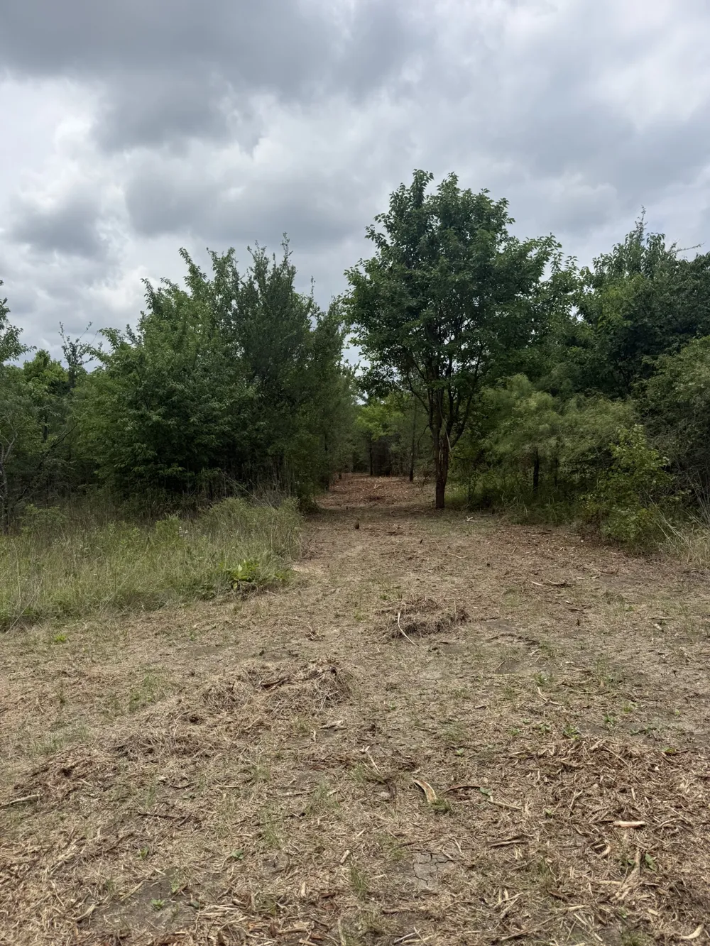 McKnight Ferris, TX 75125