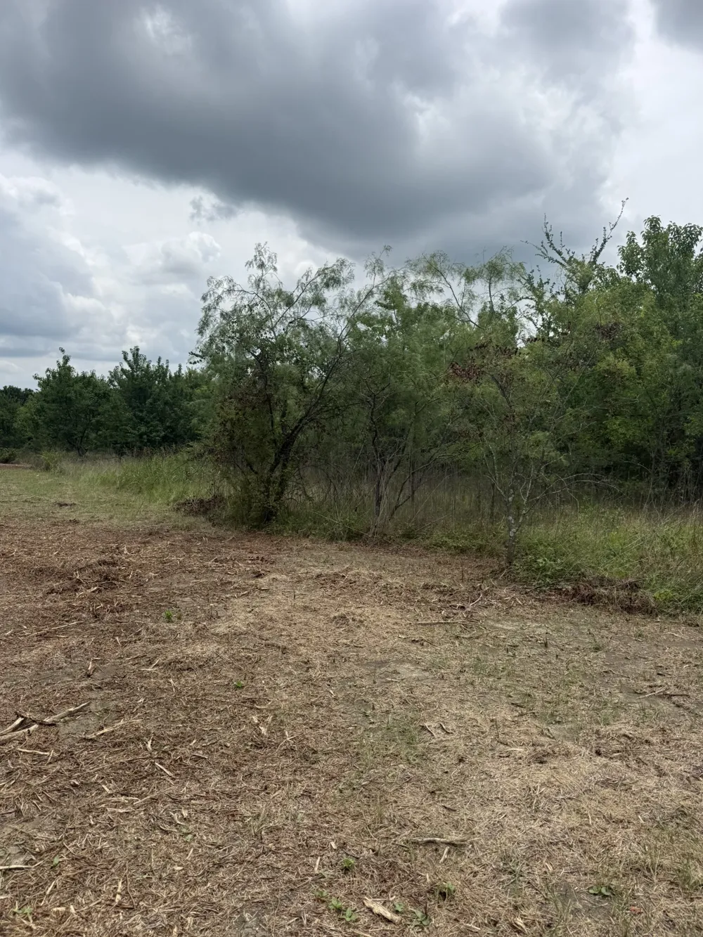McKnight Ferris, TX 75125