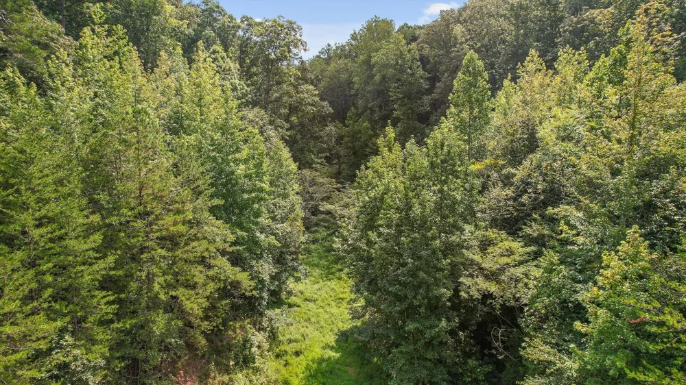 6180 Slygo Road Wildwood, GA 30757