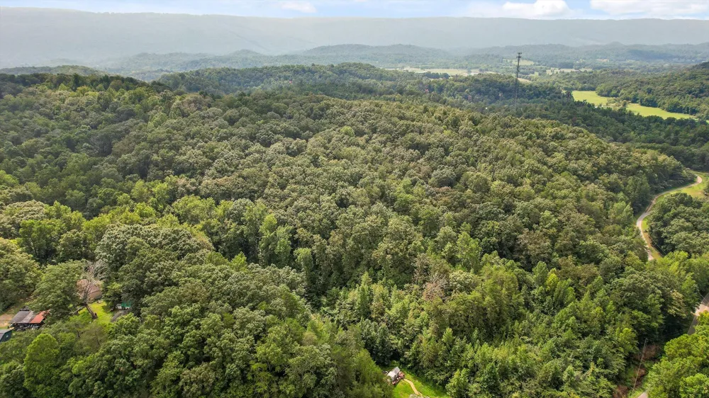 6180 Slygo Road Wildwood, GA 30757