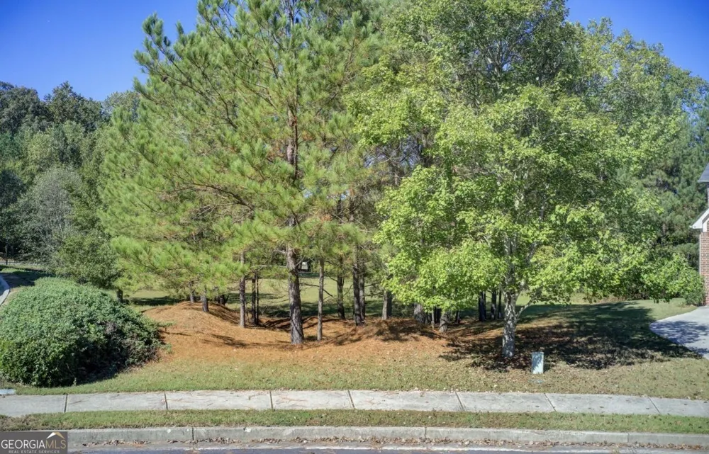 1597 Grassy Hill CT Grayson, GA 30017