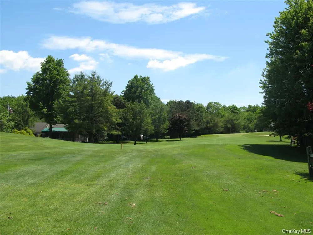 619 Spring Lake Drive Middle Island, NY 11953