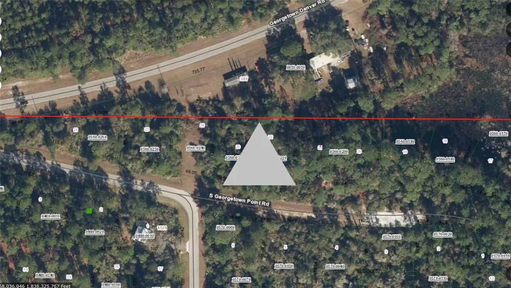116 S GEORGETOWN POINT ROAD Georgetown, FL 32139