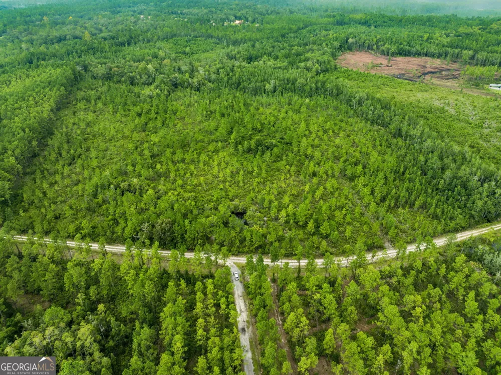 V/L 96 Old Reserve RD White Oak, GA 31568