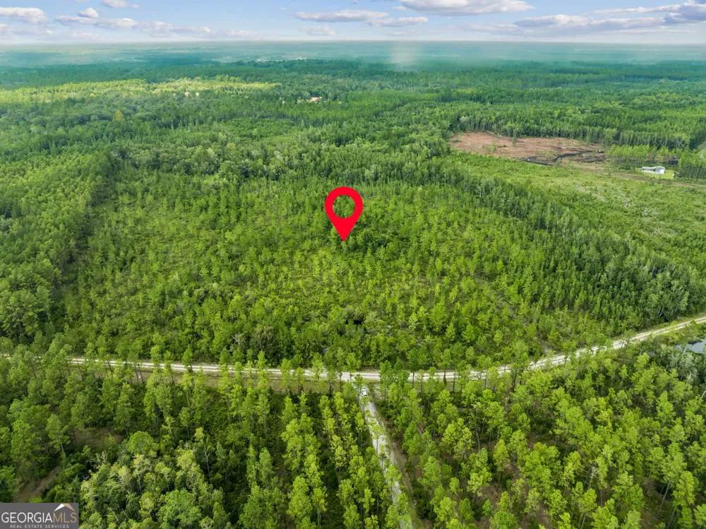 V/L 96 Old Reserve RD White Oak, GA 31568