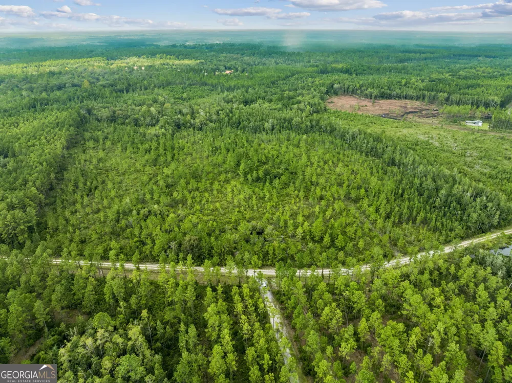 V/L 96 Old Reserve RD White Oak, GA 31568
