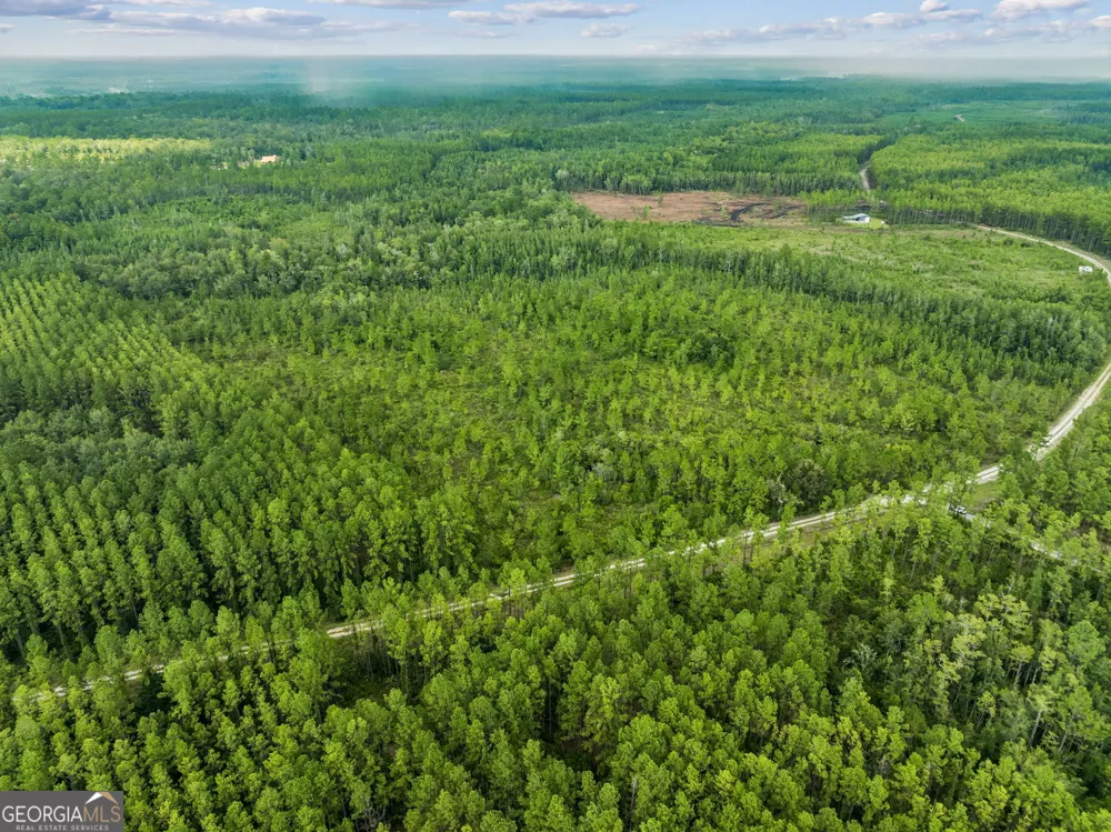 V/L 96 Old Reserve RD White Oak, GA 31568