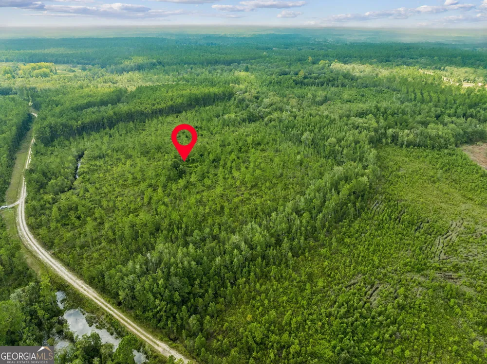 V/L 96 Old Reserve RD White Oak, GA 31568