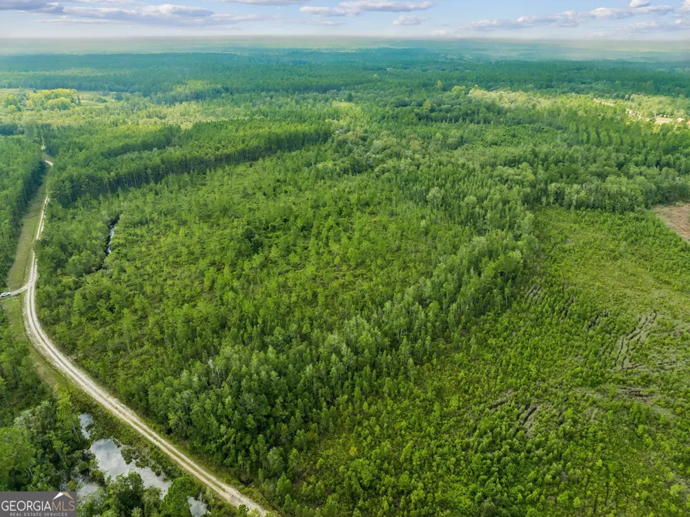 V/L 96 Old Reserve RD White Oak, GA 31568