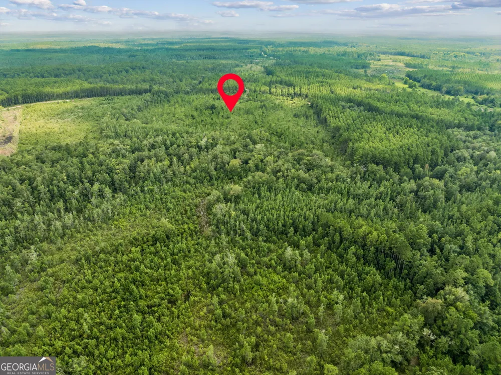 V/L 96 Old Reserve RD White Oak, GA 31568