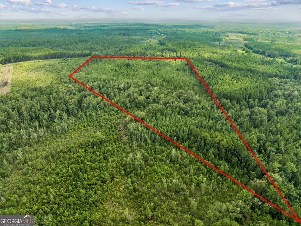 V/L 96 Old Reserve RD White Oak, GA 31568