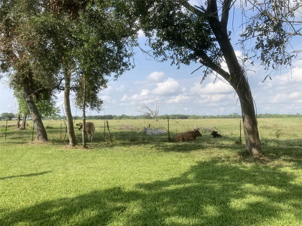 4003 Country Trails Street Alvin, TX 77511