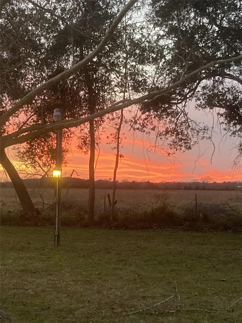 4003 Country Trails Street Alvin, TX 77511