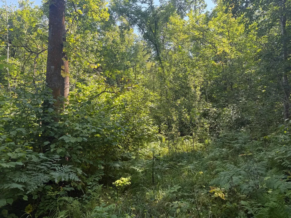 TBD S Tulaby Lake LN Waubun, MN 56589