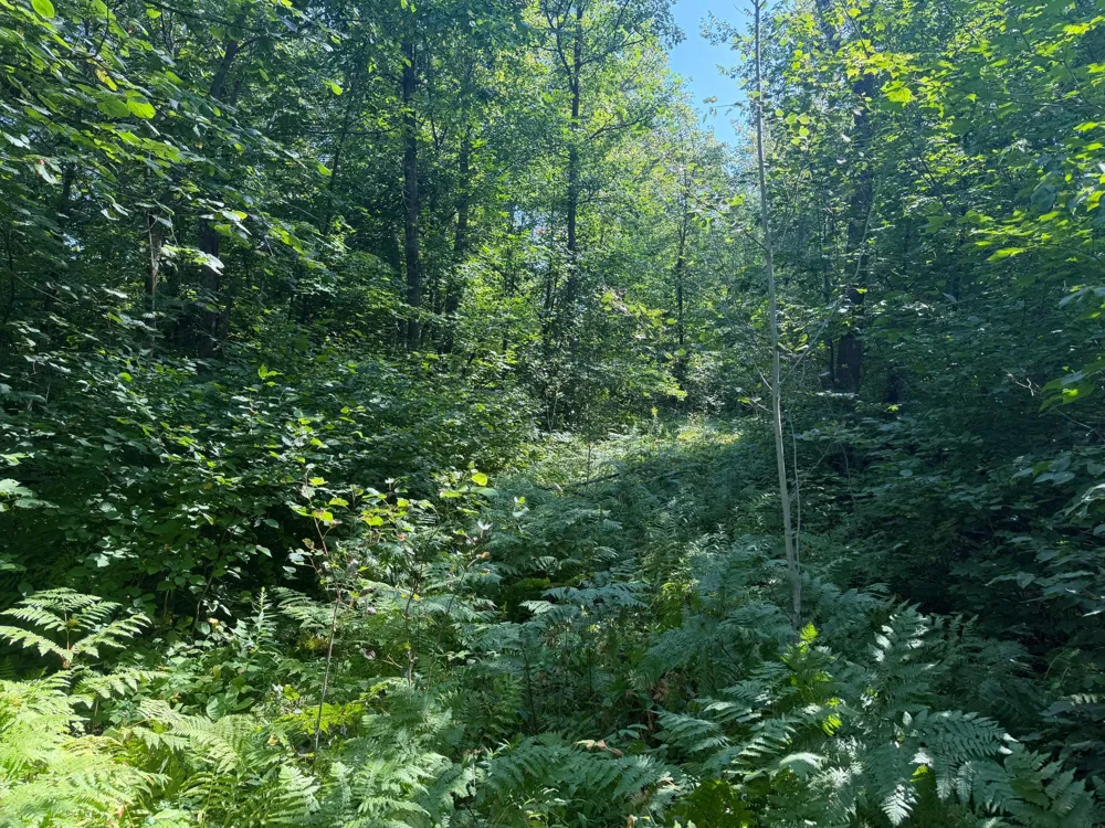 TBD S Tulaby Lake LN Waubun, MN 56589