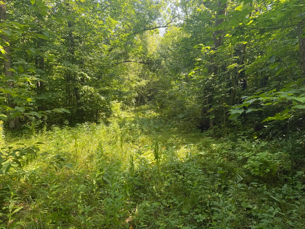 TBD S Tulaby Lake LN Waubun, MN 56589