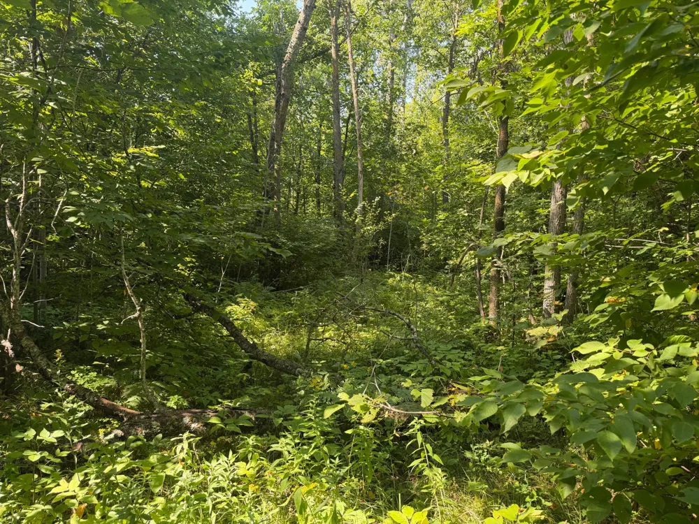 TBD S Tulaby Lake LN Waubun, MN 56589