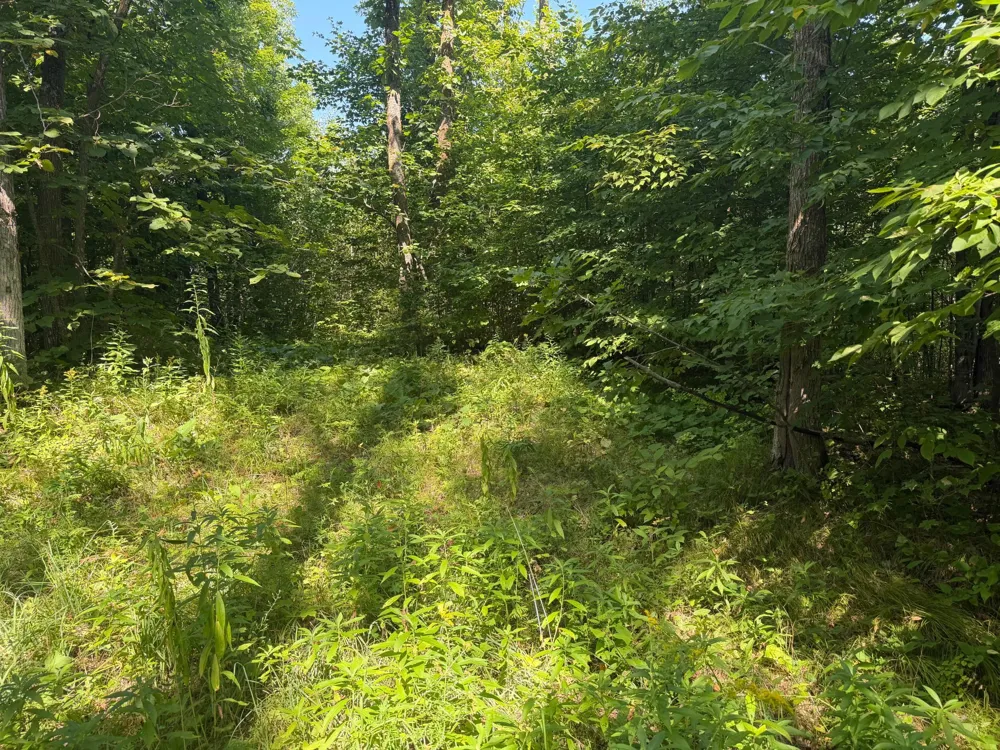 TBD S Tulaby Lake LN Waubun, MN 56589