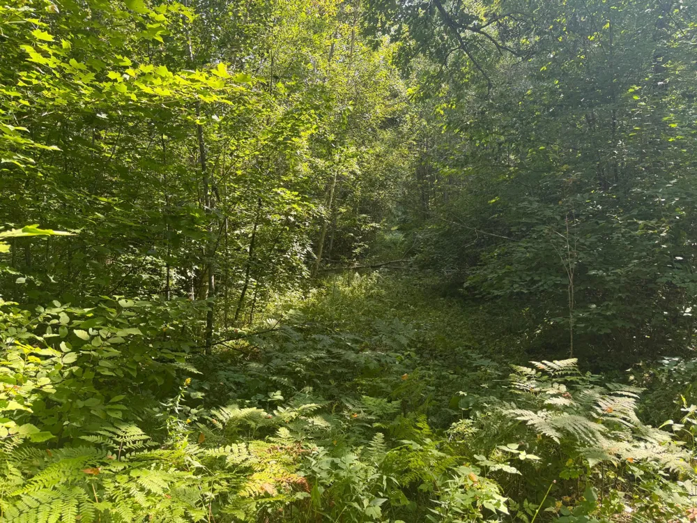 TBD S Tulaby Lake LN Waubun, MN 56589