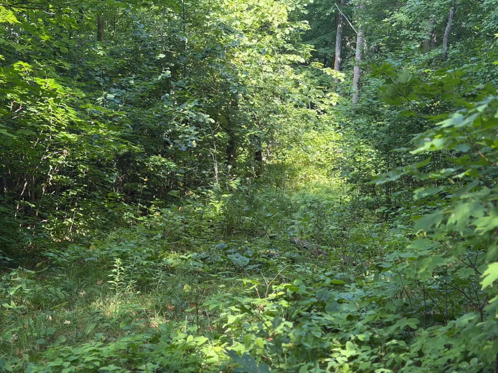 TBD S Tulaby Lake LN Waubun, MN 56589